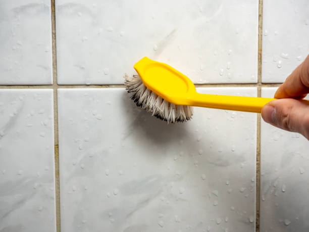 Best Black Mold Remediation in Charles Town, WV