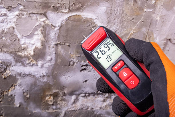 Best DIY Mold Remediation Support Services in Charles Town, WV