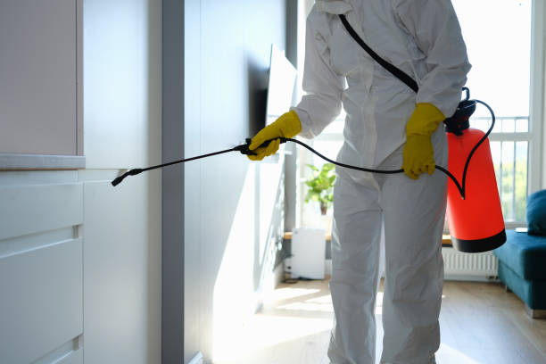 Best Bathroom Mold Remediation in Charles Town, WV