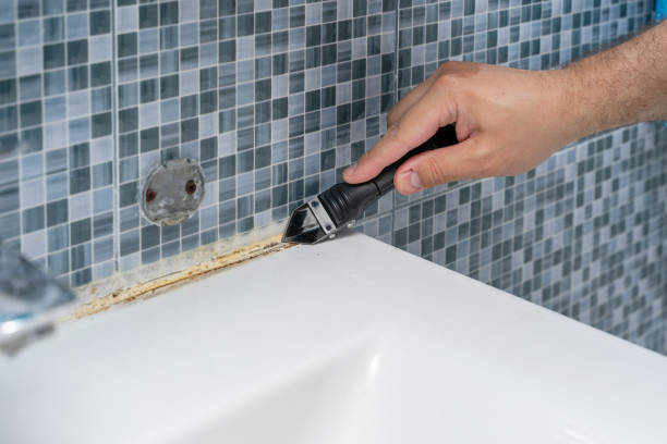 Best Mold Remediation for Specific Building Types in Charles Town, WV
