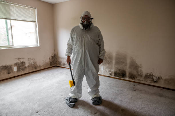 Best HVAC Mold Remediation in Charles Town, WV
